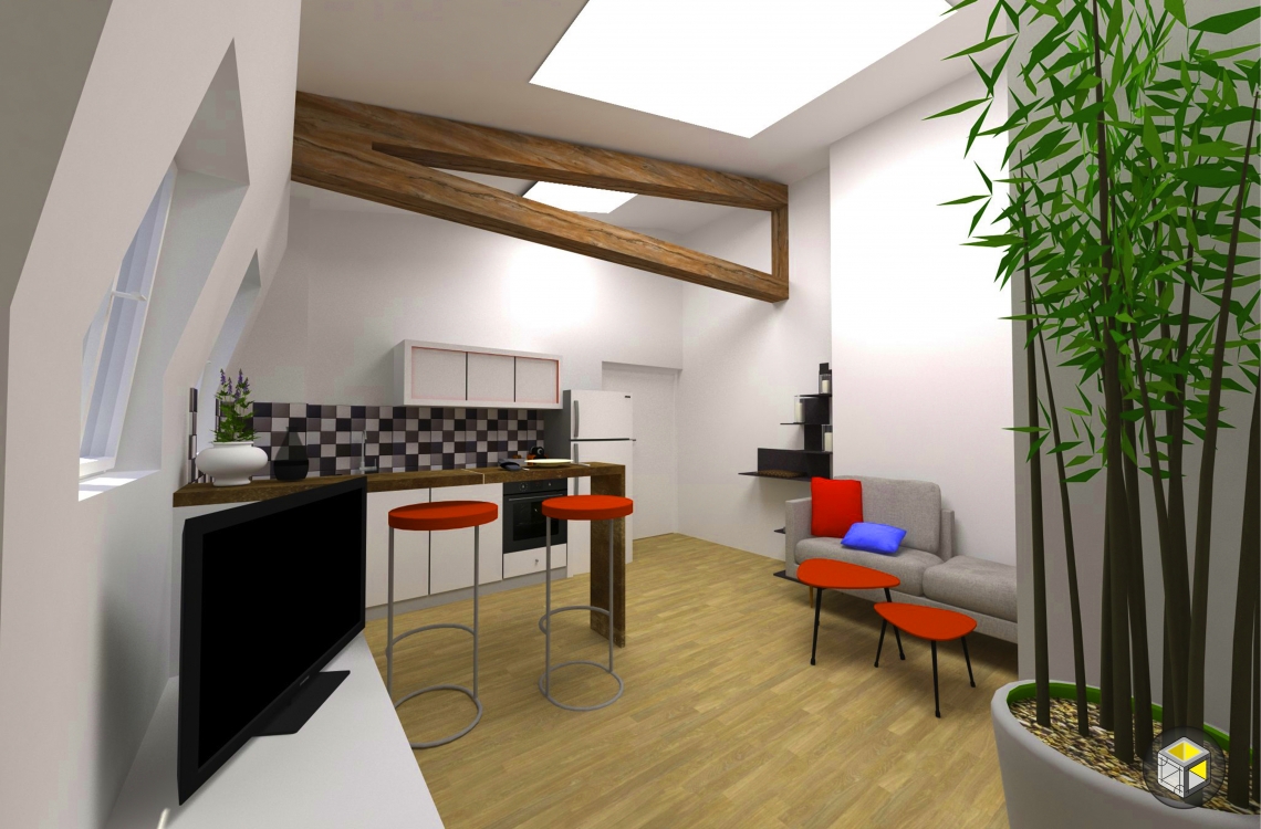 visuel 3d avant travaux de rénovation cuisine séjour